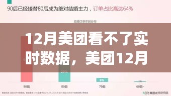 美团12月实时数据无法查看现象深度解析，特性、体验、对比及用户洞察