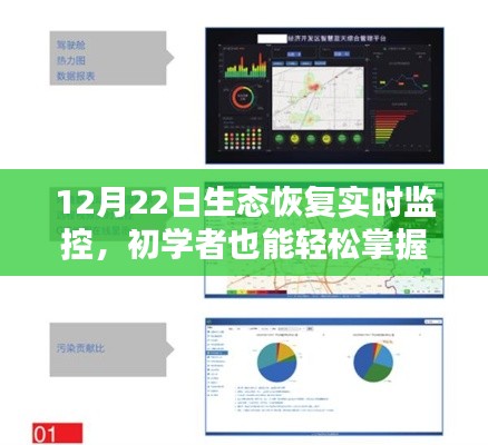 初学者轻松掌握生态恢复实时监控,详细步骤指南(12月22日)