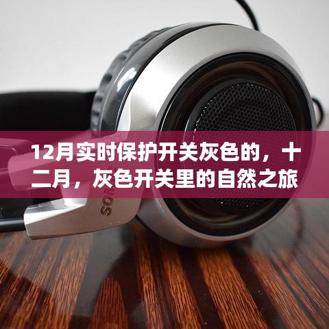 十二月灰色开关之旅，探寻内心宁静与平和的自然之旅