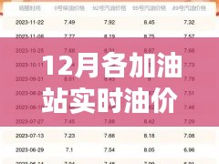 12月加油站实时油价查询攻略，多渠道查询与个人立场探讨