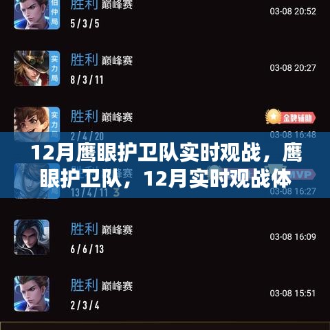 鹰眼护卫队实时观战深度解析,12月观战体验回顾