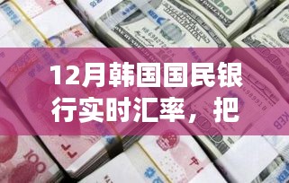 把握机遇，韩国国民银行12月汇率变化中的励志成长之旅