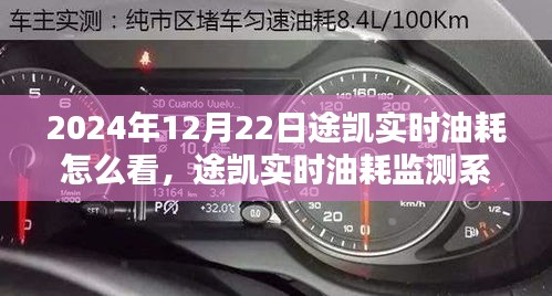 途凯实时油耗监测系统深度体验与评测，2024年12月22日的使用指南