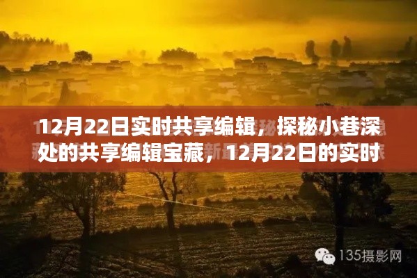 探秘小巷深处的共享编辑宝藏,12月22日实时惊喜编辑体验分享