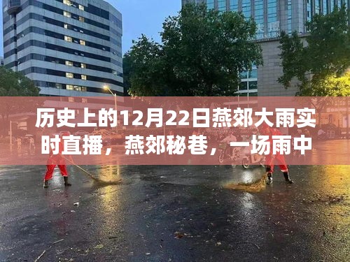燕郊秘巷美食探秘之旅，雨中的独特美食与直播回顾