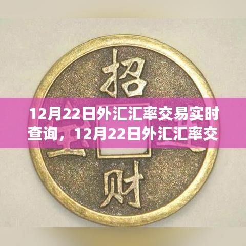 12月22日外汇汇率交易实时查询，深度分析与个人观察