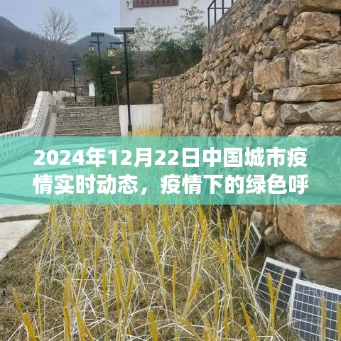 2024年12月22日中国城市疫情实时动态，疫情下的绿色呼吸与自然的邂逅