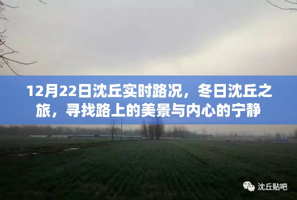冬日沈丘之旅，实时路况与美景探寻，心灵宁静之旅