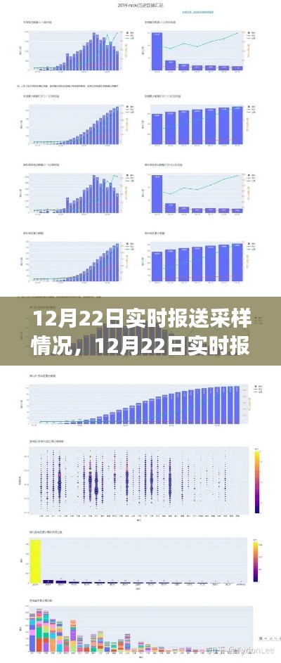 12月22日实时报送采样情况深度解析与最新进展报告