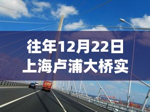 上海卢浦大桥下的温馨归途，友情与陪伴的故事在实时路况中上演