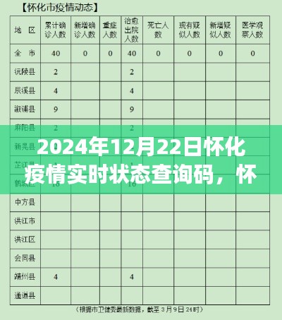 怀化疫情实时状态查询码操作详解，使用指南与最新动态