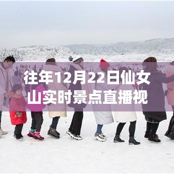 仙女山探秘，与自然共舞，领略冬日美景的直播魔法