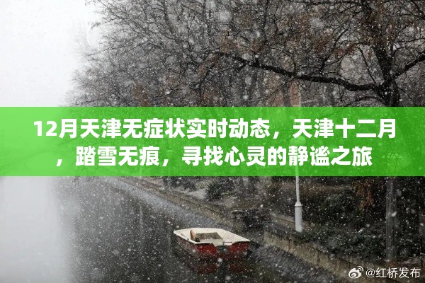 天津十二月，踏雪无痕的无症状实时动态与心灵静谧之旅
