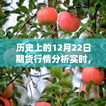 历史上的12月22日期货行情实时分析与预测