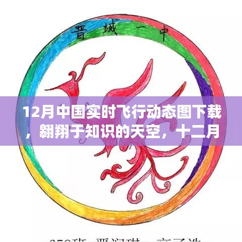 十二月飞行动态图下载，翱翔知识天空的自我超越之旅