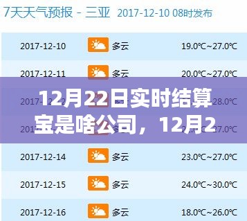 12月22日实时结算宝使用指南，功能解析与操作教程