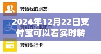 支付宝实时转账查看功能操作指南，初学者与进阶用户适用（2024年12月22日更新）