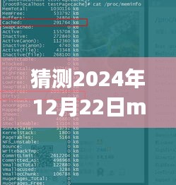Mybits实时更新缓存操作指南，猜测2024年12月22日的操作详解与步骤指南（适用于初学者与进阶用户）