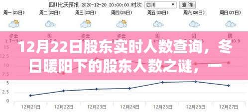 冬日暖阳下的股东人数之谜，友情、陪伴与爱的故事