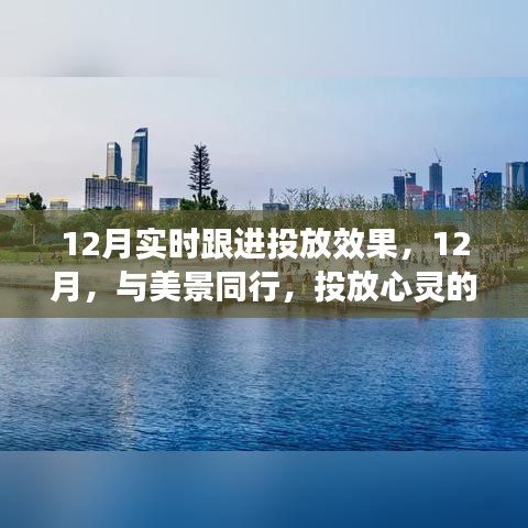 12月投放效果实时跟进，与美景同行，投放心灵之旅，探寻宁静力量