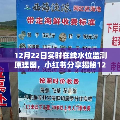 揭秘实时在线水位监测原理图，掌握技术，保障水资源安全