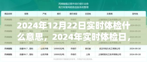 2024年实时体检日，探寻自然美景的心灵之旅与自我宁静