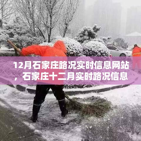 石家庄路况实时信息网站的重要性、实践影响探讨