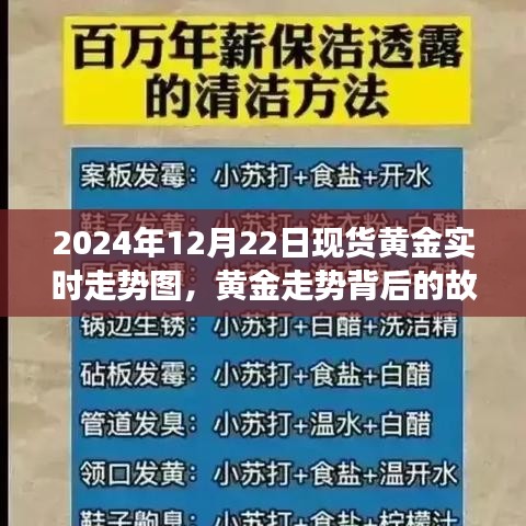 黄金走势背后的故事，学习、变化与自信之源——现货黄金实时走势图分析（2024年12月22日）