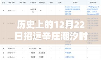 历史上的12月22日招远辛庄潮汐实时探索，潮汐奥秘与实时信息解析