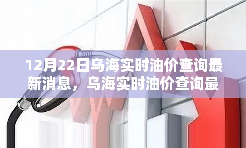 乌海油价实时更新，最新消息与深度评测介绍