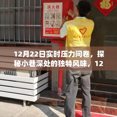 探秘小巷深处风味,12月22日压力释放之旅实时问卷体验