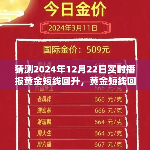 未来科技引领黄金投资新纪元，黄金短线回升实时播报分析预测，2024年12月22日市场动向观察