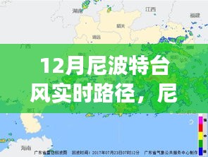 尼波特台风下的奇妙故事，隐秘小巷与特色小店的邂逅