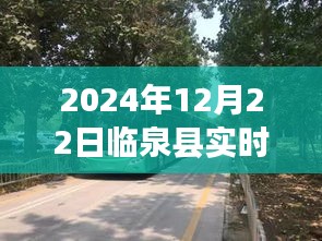 临泉县公交新航线，追寻自然美景的诗意旅程，远离尘嚣的临泉探秘之旅（实时路线图）
