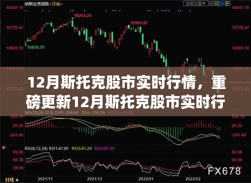 揭秘12月斯托克股市实时行情，洞悉市场走势，把握投资机会