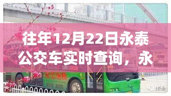 永泰公交实时查询系统，重塑城市出行体验，科技引领公交新时代