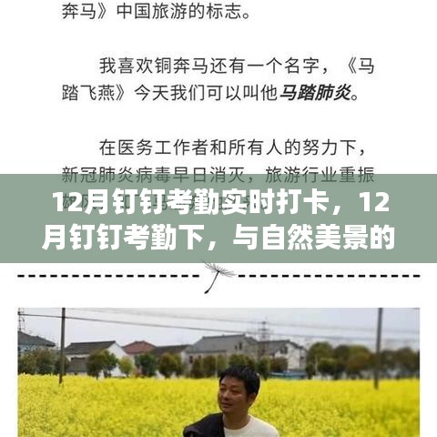 12月钉钉考勤下的自然美景邂逅之旅