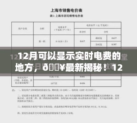揭秘！12月实时电费查询地点大全，小红书推荐指南助你轻松掌握电费动态