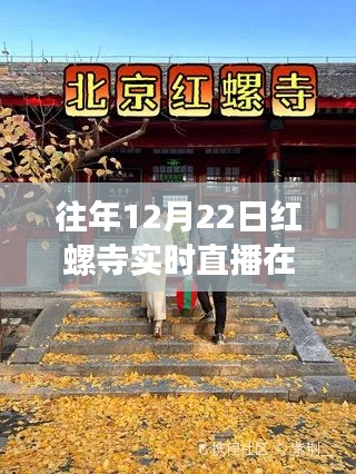 探秘红螺寺直播秘境，往年12月22日实时直播与小巷深处的特色小店探索之旅！