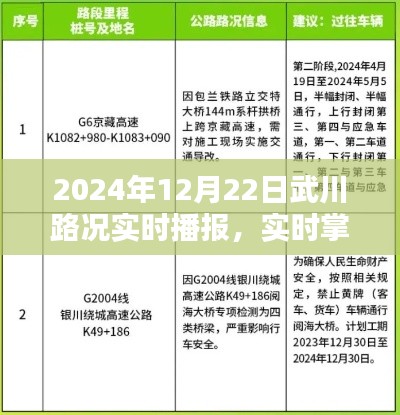 2024年武川路况实时播报系统评测报告，掌握路况信息，出行无忧