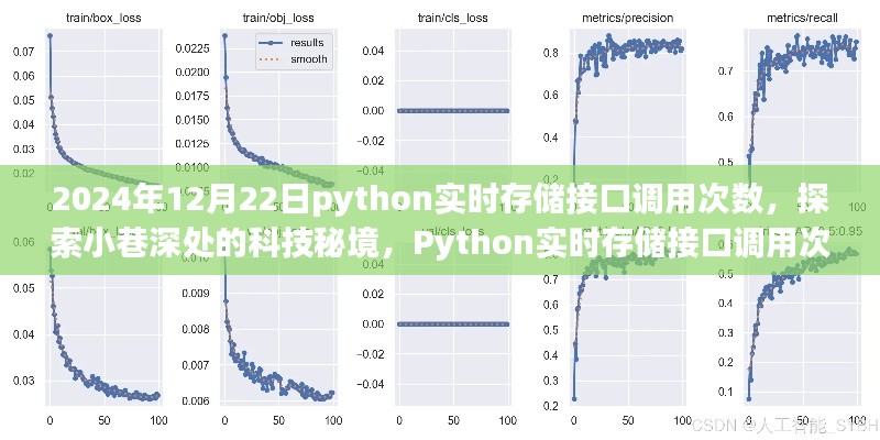 Python实时存储接口调用次数，探索科技秘境的奇妙之旅