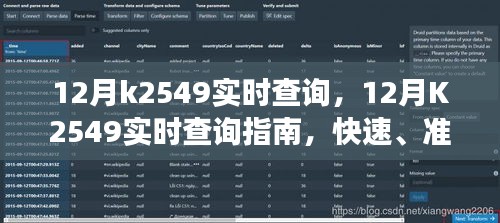 12月K2549实时查询指南，快速掌握物流信息