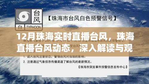 珠海台风实时直播，深度解读与观点阐述