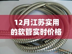 江苏地区十二月软管实时价格解析，多方观点与个人立场探讨