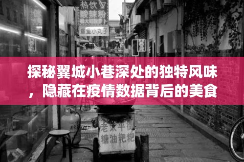 翼城小巷美食秘境，疫情背后的独特风味探秘