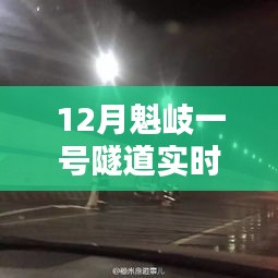魁岐一号隧道12月实时动态