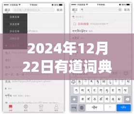 有道词典实时翻译屏幕教程，操作指南与技巧