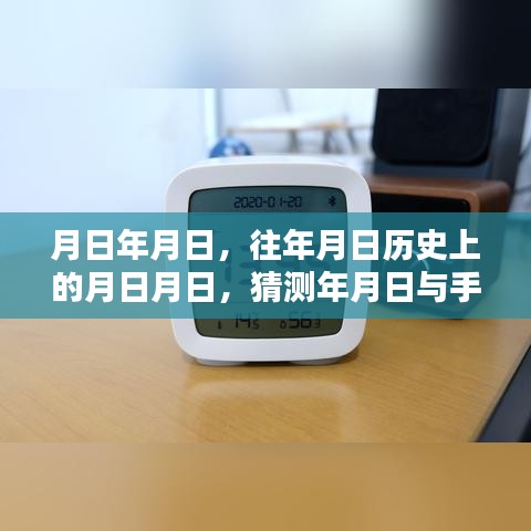 年月日探秘，历史与实时网络的交汇点