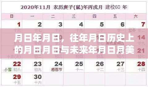 历史与未来美股电池板块走势对比，实时数据解析
