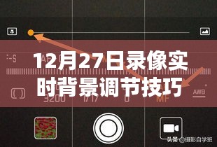 飞鸟依人